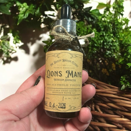 Lion's Mane Tincture