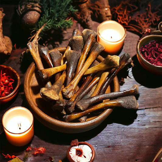 Bone Throwing Beginner Bags