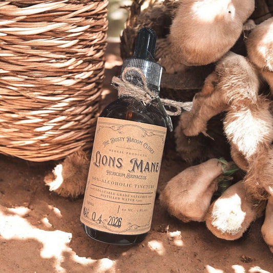 Lion's Mane Tincture