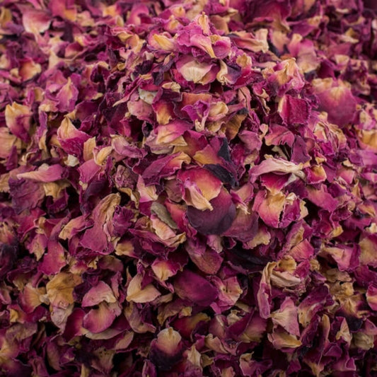 Dried Roses