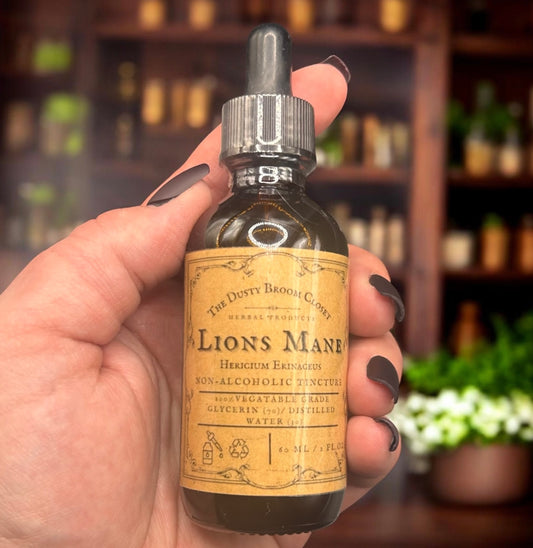 Lion's Mane Tincture