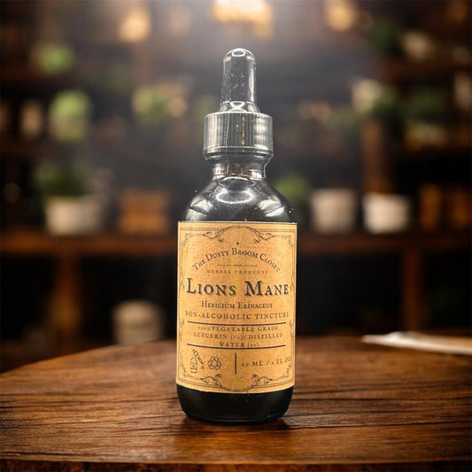 Lion's Mane Tincture